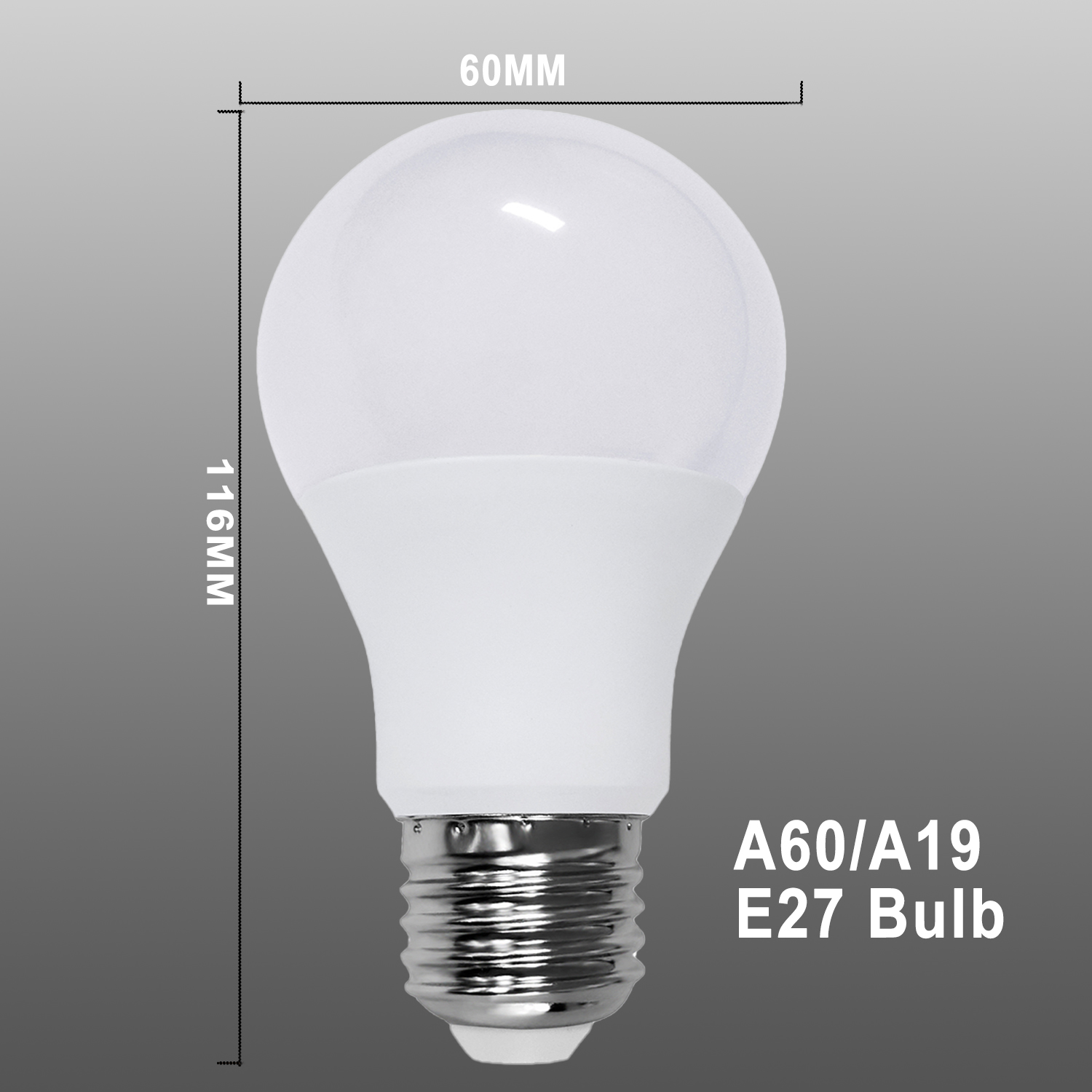 a60 bulb